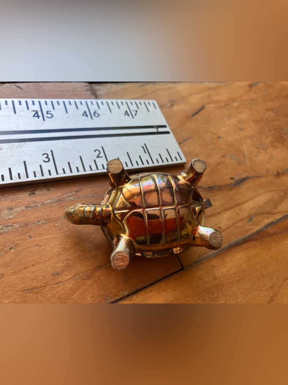 Metal turtle thing - Picture 4 of 5